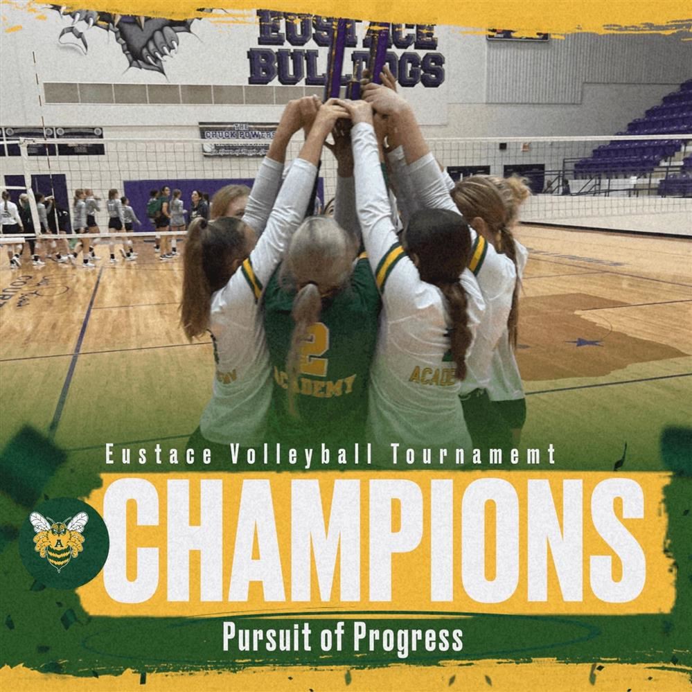 Bumblebee Volleyball Team Tournament Champions!